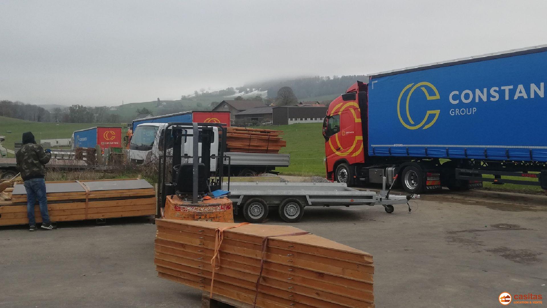 Transport durch Profis